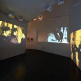 gesamtkunstwerk gr021