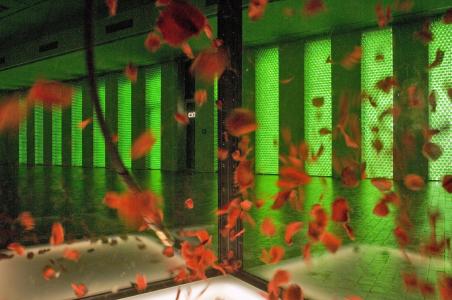 YOU ARE NOT ALONE MATHILDENHOEHE 04 klein